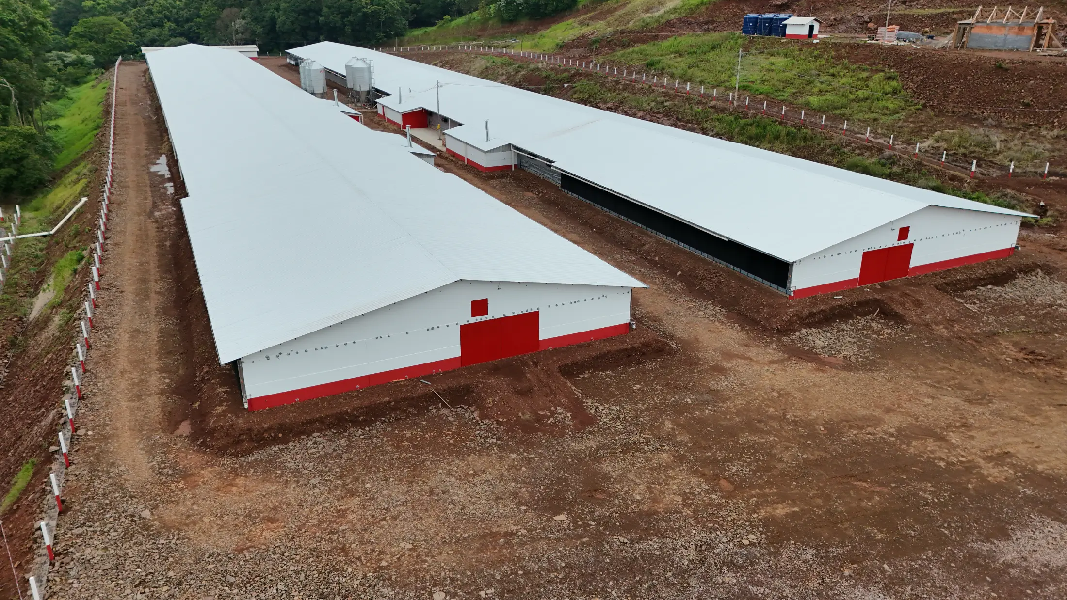 Aviário de grande extensão construído com pilares e vigas pré-moldadas de concreto.