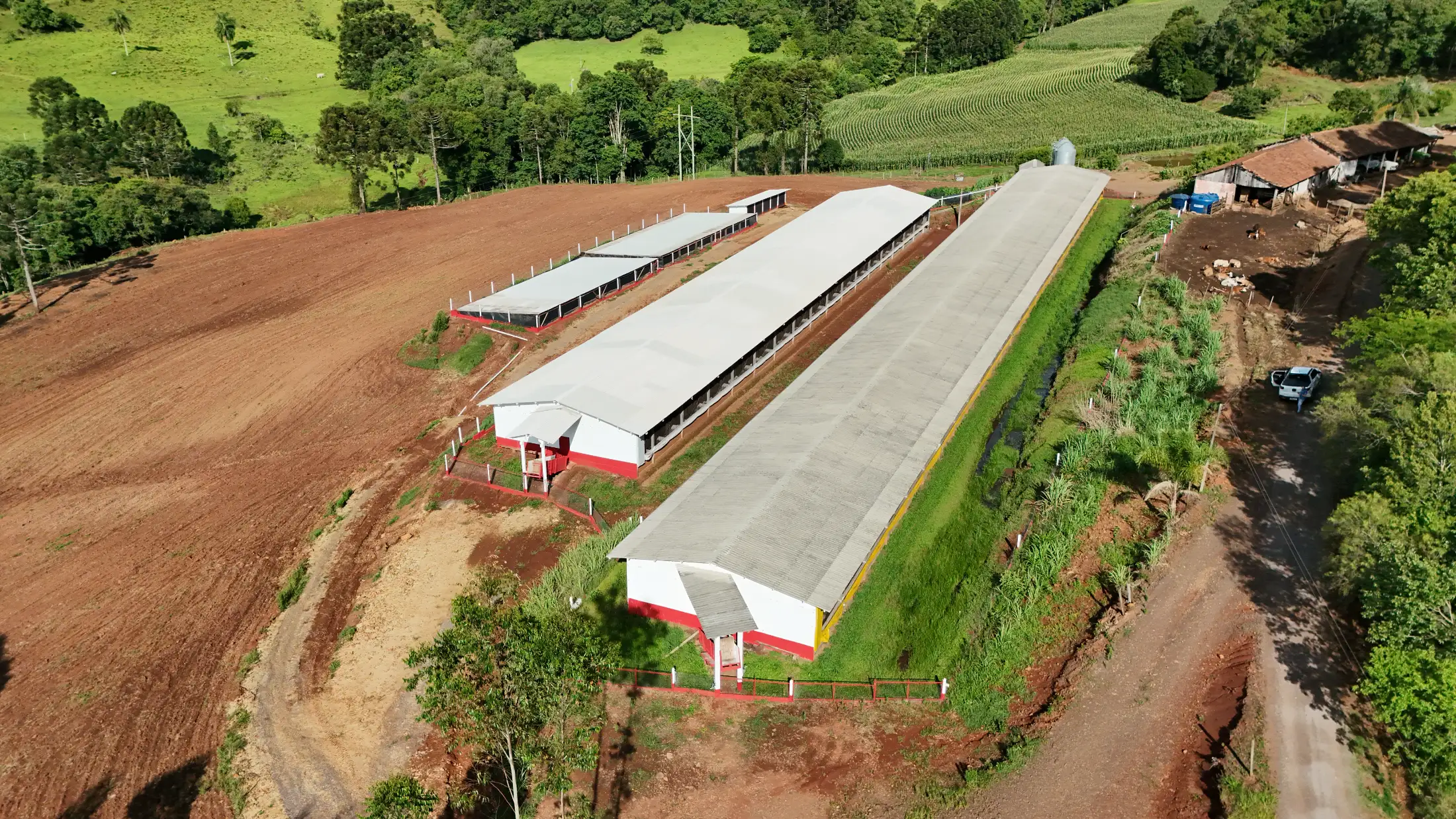 Vista aérea de aviário de grande extensão com estrutura pré-moldada de concreto
